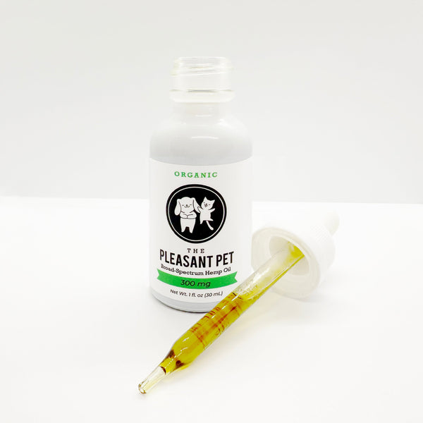 CBD for Pets: Natural Relief for Pain & Separation Anxiety