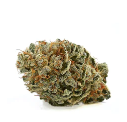 Exploring the Top Health Benefits of CBD and CBG: Embracing Nature's Power with Quality Organic Products