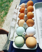 Load image into Gallery viewer, Farm Fresh Eggs