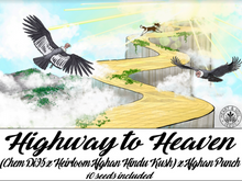 Load image into Gallery viewer, Highway to Heaven Cannabis Seeds