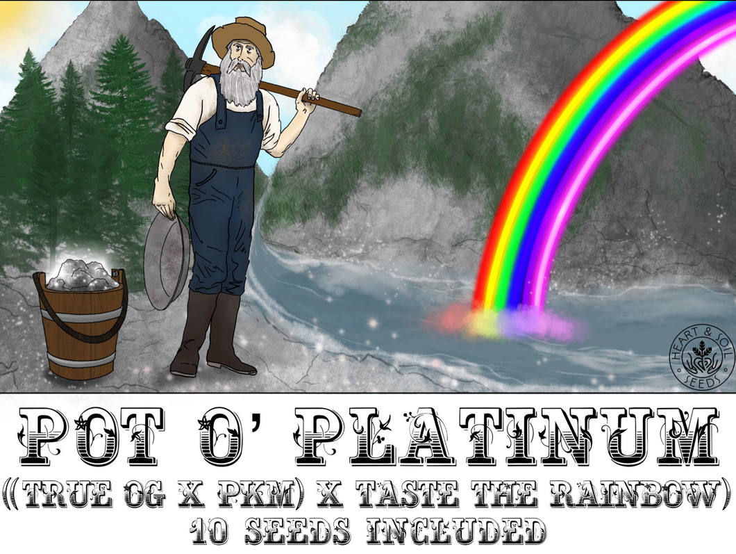 Pot O'Platinum Cannabis Seeds