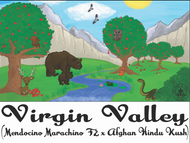 Virgin Valley Cannabis Seeds
