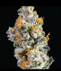 Biscotti Pippen Feminized Cannabis Seeds