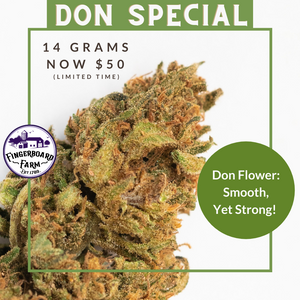 Don Special - $10 OFF!